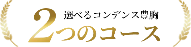 選べるコンデンス豊胸2つのコース
