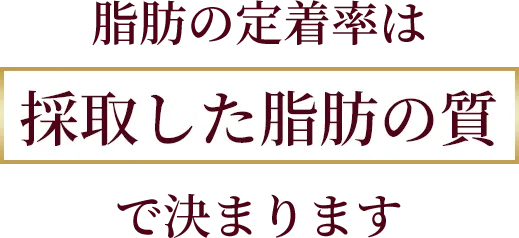 脂肪の定着率は採取した脂肪の質で決まります