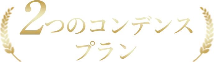 2つのコンデンスプラン